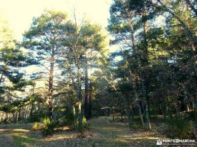 Cascadas Purgatorio;Bosque de Finlandia; los valles pasiegos mochilas montaña niños embalse de san